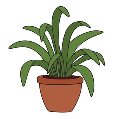 Houseplant in colored outline isolated on white background. Outline houseplant hand draw vector illustration.