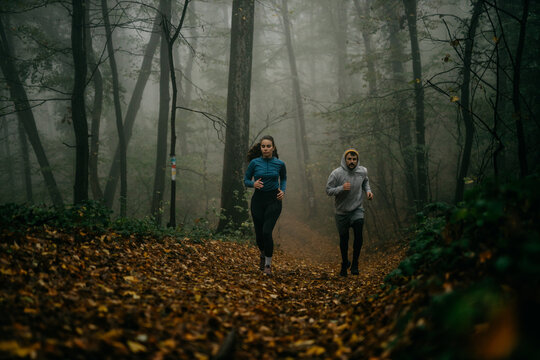 Image of the intensity of a marathon in the woods, with a pack of runners emerging from the fog.