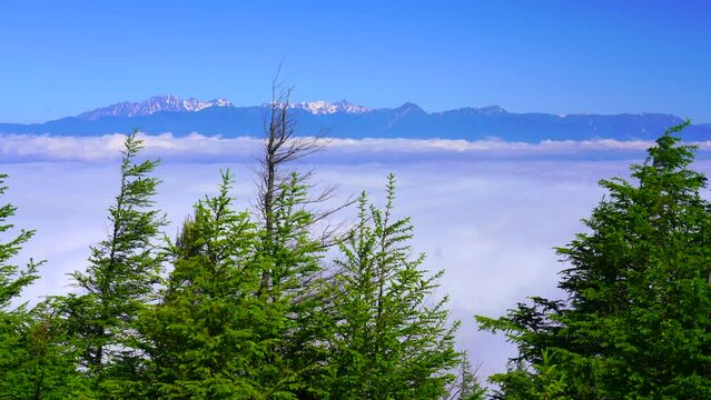 長野県　鉢伏山から見た雲海と北アルプス