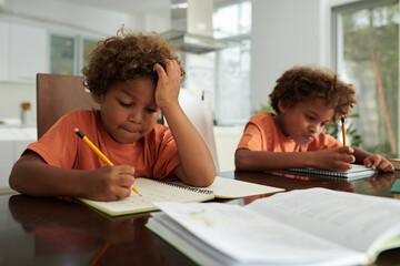 Schoolboys busy with doing homework at desk in living room