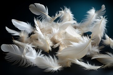 White feathers floating in the air or on a surface