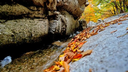 Fototapeta na wymiar Beautiful autumn valley scenery in Korea