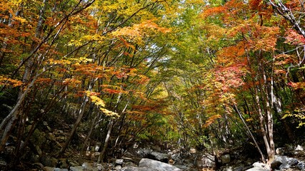 Fototapeta premium Beautiful autumn valley scenery in Korea