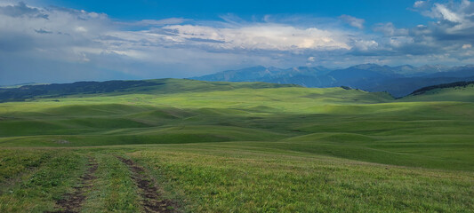 landscape with grass