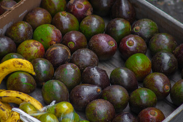 Pile of green avocado background