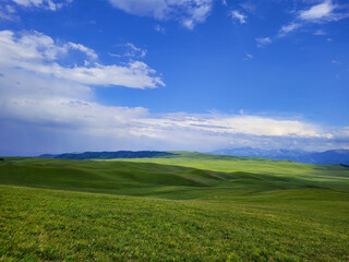 Fototapeta na wymiar green field with blue sky