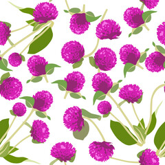 A seamless pattern of Globe amaranth flowers. vector illustration. flower background.
