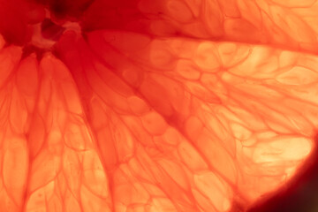 Micro close up of sliced red grapefruit and copy space