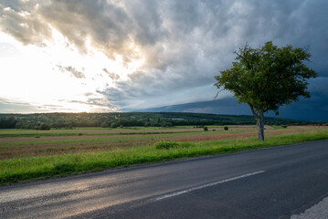 Fototapeta na wymiar Dark clouds heralding thunderstorms view of the road with a lonely tree