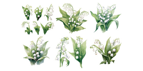 Watercolor lily of valley clipart for graphic resources - obrazy, fototapety, plakaty