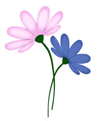 Two flowers, pink and blue.
