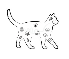 Vitality icon set for cat. The outline icons are well scalable and editable. Contrasting elements are good for different backgrounds. EPS10.