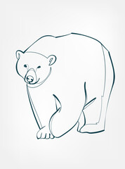 bear vector line art animal wild life single one line hand drawn illustration isolated