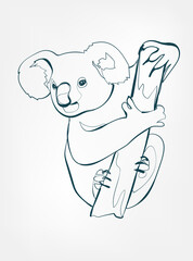 koala vector line art animal wild life single one line hand drawn illustration isolated