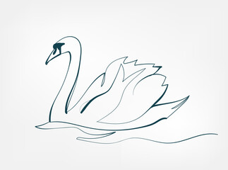 swan vector line art animal wild life single one line hand drawn illustration isolated