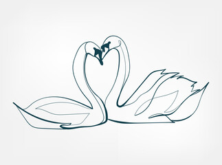 swan vector line art animal wild life single one line hand drawn illustration isolated