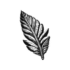 Tropical Leaf and Foliage on Stem Hand Drawn Sketch Vector Illustration