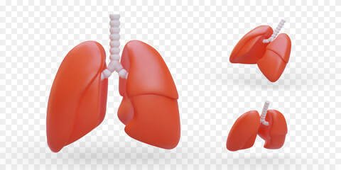 Set of 3D lungs. Human respiratory organs. Breath symbol. Medical concept. Examination service, fluorography. Health care. Vector images, icons. Respiratory diseases, allergies