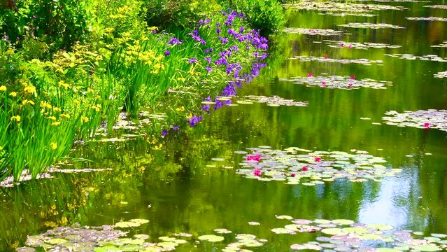 高知県　北川村モネの庭マルモッタンの睡蓮の池