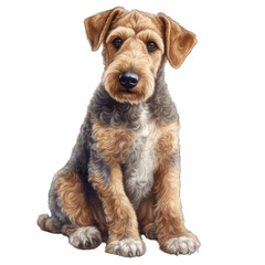 Cute Airedale Puppy Portrait isolated on transparent background png - Generative AI