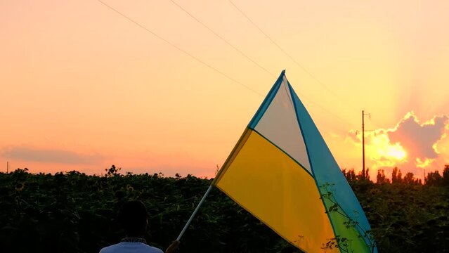 A man with the flag of Ukraine in a field of sunflowers. Selective focus.