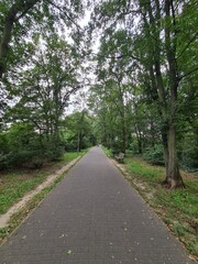 Naturpfad in Berlin Buckow