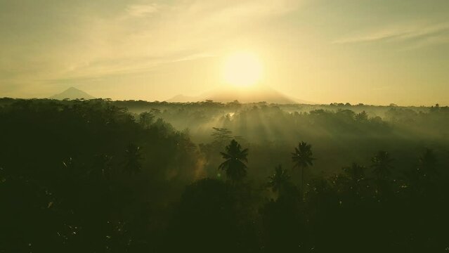 Bali Sunlight Morning Aerial Footage