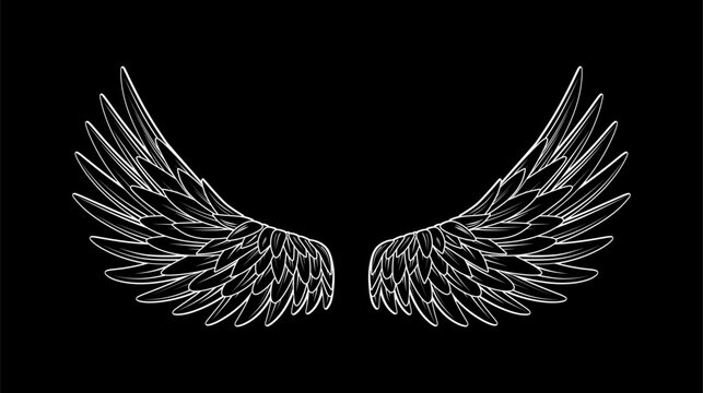 recommend clip art: eagle wings white outline on black background