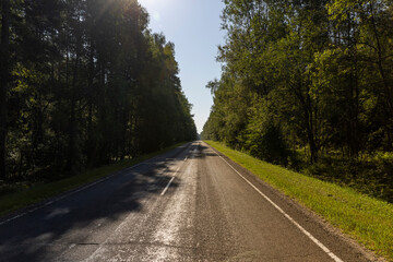 Fototapeta premium Paved road through the forest