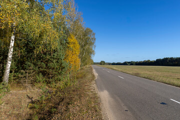Fototapeta na wymiar Paved road in the autumn season in sunny weather