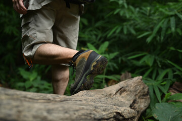 Attractive female hiker with backpack trekking in forest, exploring nature. Traveling, trekking and adventure concept