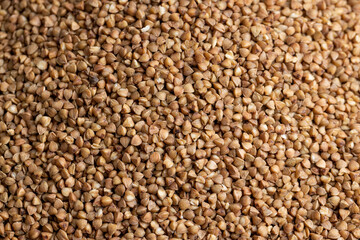 A large amount of roasted buckwheat harvest