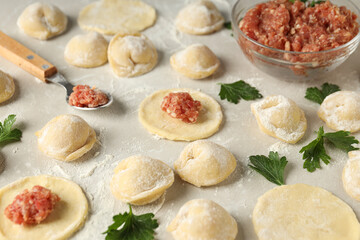 Cooking home food concept with raw dumplings