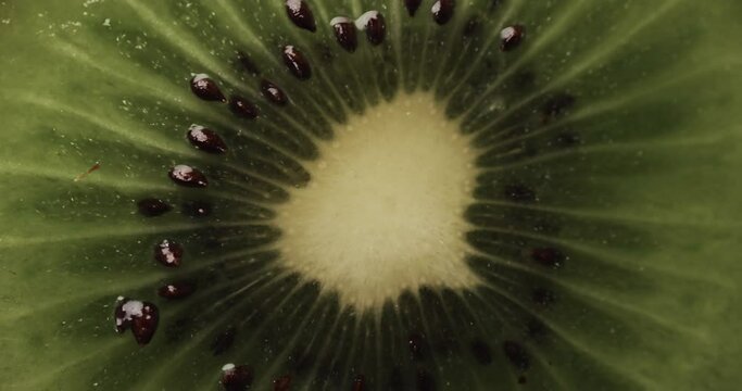 Micro video of close up of kiwi fruit slice with copy space
