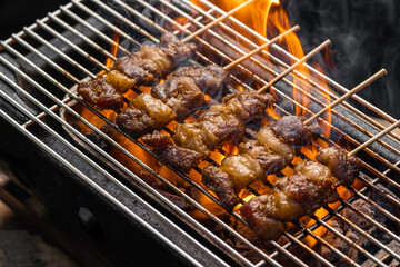 wagyu Meat skewer being grilled