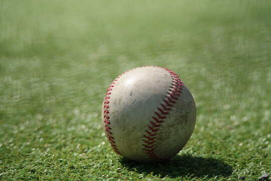 An old baseball lies on the lawn
