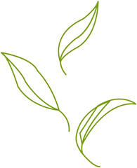 Green tea leaf minimal line icon