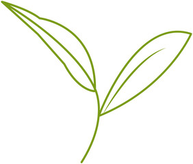 Green tea leaf minimal line icon