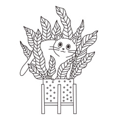 Cat and indoor flower, line drawing. Stylized character for coloring.