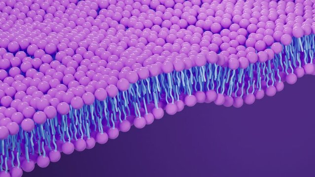 Cell membrane structure background, 3d rendering.