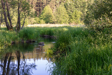 a small river in eastern Europe in the summer