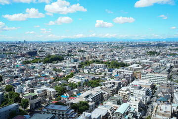 Fototapeta premium 練馬区役所展望台からの眺め