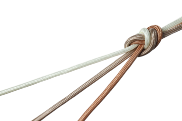 PNG,multi-colored braided cords diverge to the sides from a large knot in the center. The concept of creative cooperation and exchange., isolated on white background