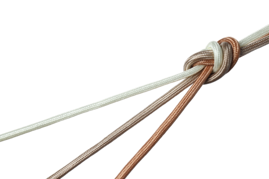 PNG,multi-colored braided cords diverge to the sides from a large knot in the center. The concept of creative cooperation and exchange., isolated on white background