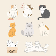 vector set of cat illustration