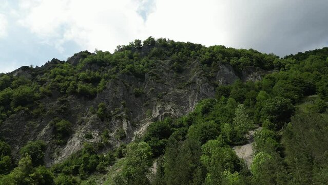 Low angle shot of mountain covered with lush green vegetation in Lepsa, Romania. Green forest along mountain slope.