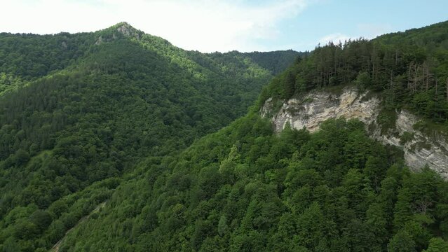 Aerial drone forward moving shot through valley surrounded by green forest mountain in Lepsa, Romania on a cloudy day.