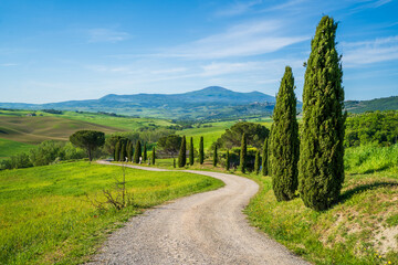 Fototapeta na wymiar Beautiful Toscany landscape view in Italy