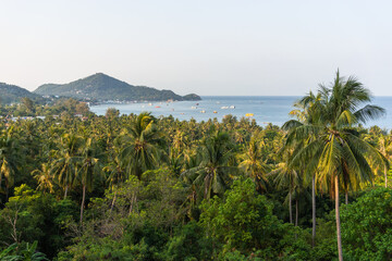 Fototapeta na wymiar Scenic tropical Koh Tao island landscape with green palms, view from the high on sea with boats and Mae Haad Bay, mountains and clear sky with copy space