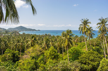 Fototapeta na wymiar Tropical landscape of paradise Koh Tao island in Thailand. Panorama with palms, blue sky and view on sea horizon from above